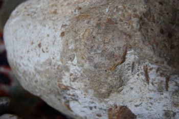 2017-03-06 11-52-30.JPG