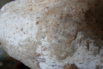 2017-03-06 11-52-36.JPG