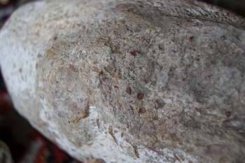 2017-03-06 11-52-52.JPG