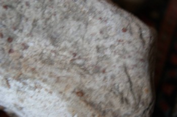 2017-03-06 11-53-00.JPG