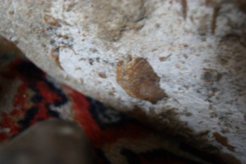 2017-03-06 11-53-10.JPG