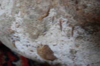 2017-03-06 11-53-14.JPG