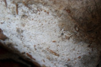 2017-03-06 11-53-20.JPG