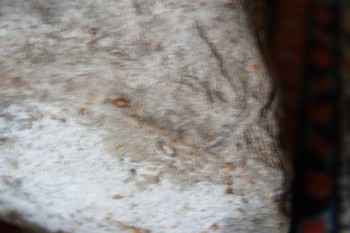 2017-03-06 11-53-28.JPG