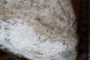 2017-03-06 11-53-32.JPG