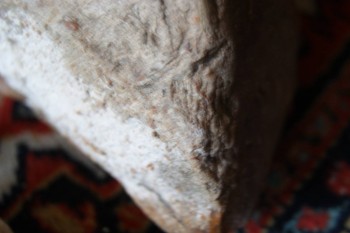 2017-03-06 11-53-46.JPG