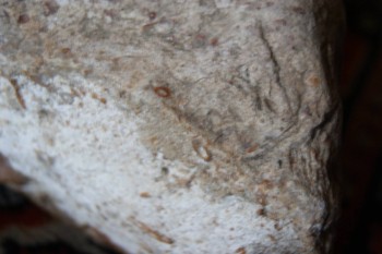 2017-03-06 11-54-04.JPG