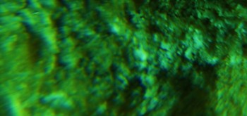 2017-02-07 08-05-48 (2).JPG