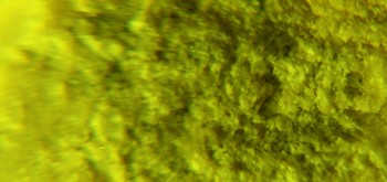 2017-02-07 08-05-48 (3).JPG