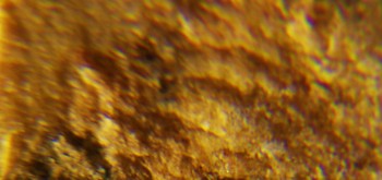 2017-02-07 08-05-48 (4).JPG