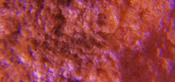 2017-02-07 08-05-48 (5).JPG