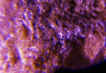 2017-02-07 08-05-48 (6).JPG