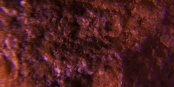 2017-02-07 08-05-48 (7).JPG