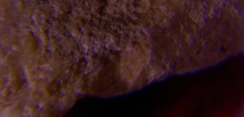 2017-02-07 08-05-48 (9).JPG