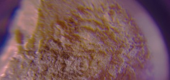 2017-02-07 08-05-48 (10).JPG