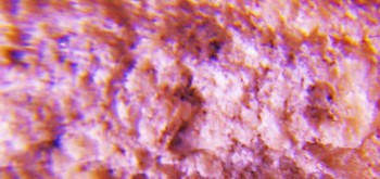 2017-02-07 08-05-48 (11).JPG