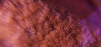 2017-02-07 08-06-20 (2).JPG