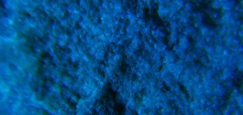 2017-02-07 08-06-34 (2).JPG