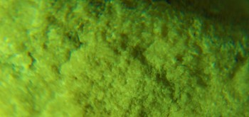 2017-02-07 08-06-34 (3).JPG