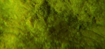 2017-02-07 08-06-34 (4).JPG