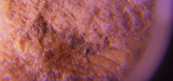 2017-02-07 08-06-34 (5).JPG