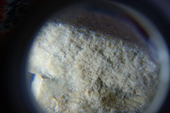 2017-02-07 08-06-34.JPG