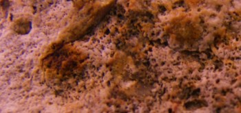 2017-01-11 06-35-42 (2).JPG