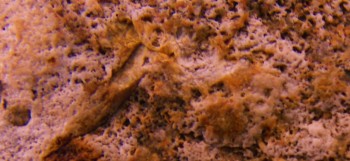 2017-01-11 06-35-42 (3).JPG