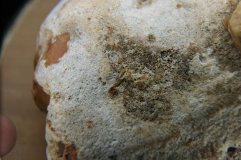 2017-01-11 06-35-42.JPG