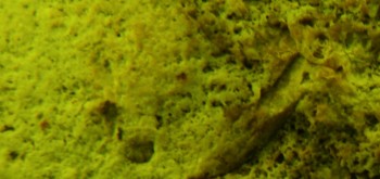 2017-01-11 06-35-42 (5).JPG