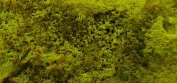 2017-01-11 06-35-42 (6).JPG