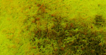 2017-01-11 06-35-42 (7).JPG