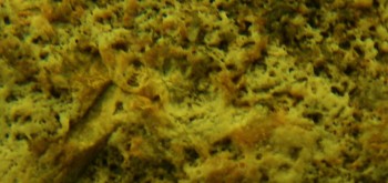 2017-01-11 06-35-42 (8).JPG