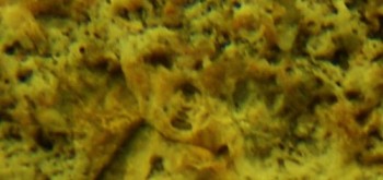 2017-01-11 06-35-42 (9).JPG