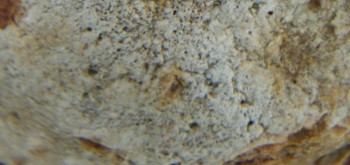 2017-01-11 06-35-48 (2).JPG