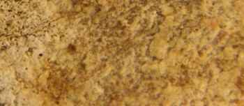 2017-01-11 06-35-48 (4).JPG