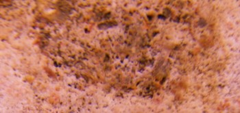 2017-01-11 06-35-48 (5).JPG