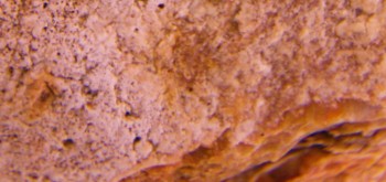 2017-01-11 06-35-48 (6).JPG