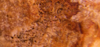 2017-01-11 06-35-56 (2).JPG