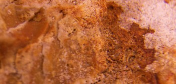 2017-01-11 06-35-56 (3).JPG