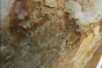 2017-01-11 06-35-56.JPG