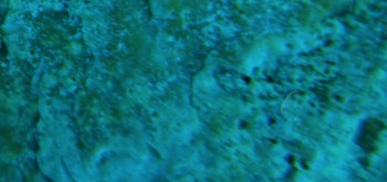 2017-01-11 06-36-02 (2).JPG