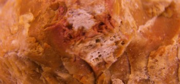 2017-01-11 06-36-02 (3).JPG