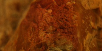 2017-01-11 06-36-02 (4).JPG