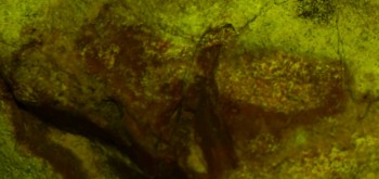 2017-01-11 06-36-42 (2).JPG