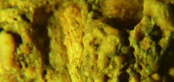 2017-02-07 09-03-48 (2).JPG