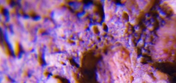 2017-02-07 09-03-48 (3).JPG