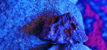 2017-02-07 09-04-50.JPG