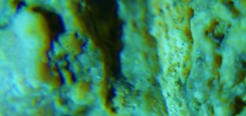 2017-02-07 09-03-48 (4).JPG