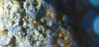 2017-02-07 09-03-48 (5).JPG